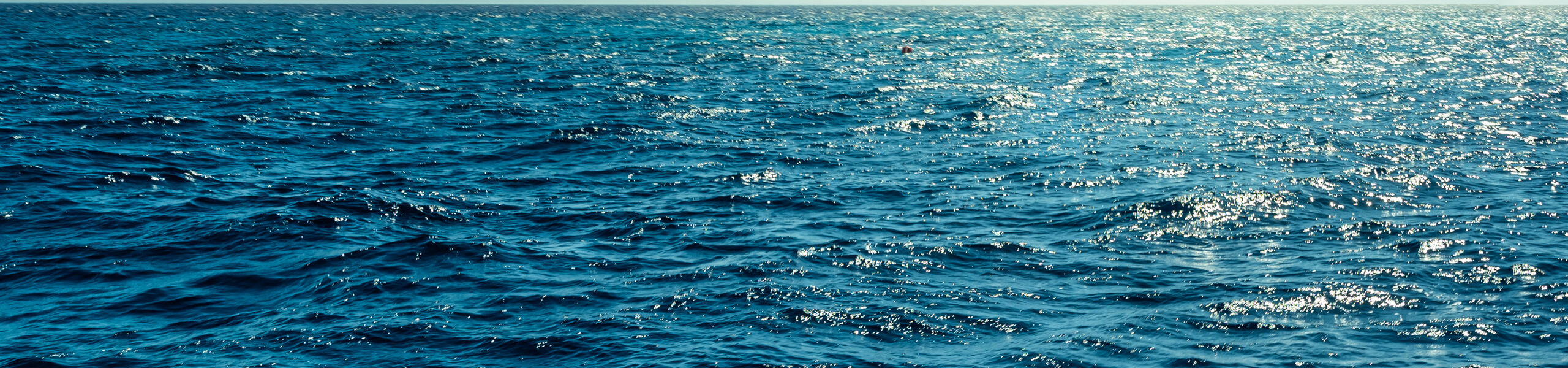 Meer